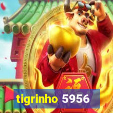 tigrinho 5956